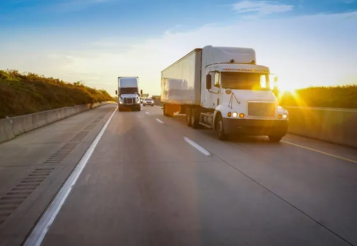 RENZOLI'S LOGISTICS TRANSPORT LLC fleet